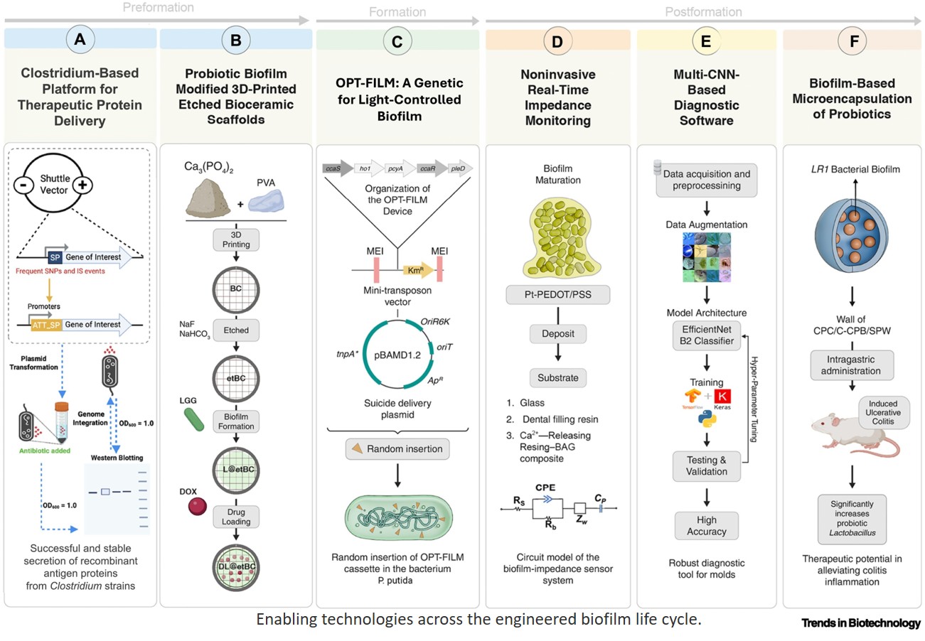 Engineered bacterial biofilms for biotechnological applications
