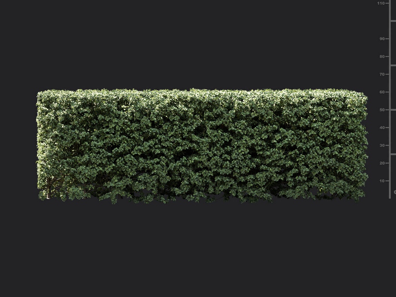 Maxtree - Plant Models Vol.119