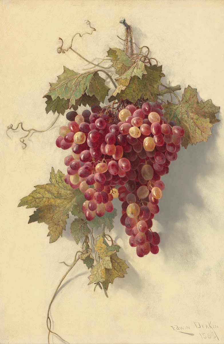 Grapes Against White Wall 1883