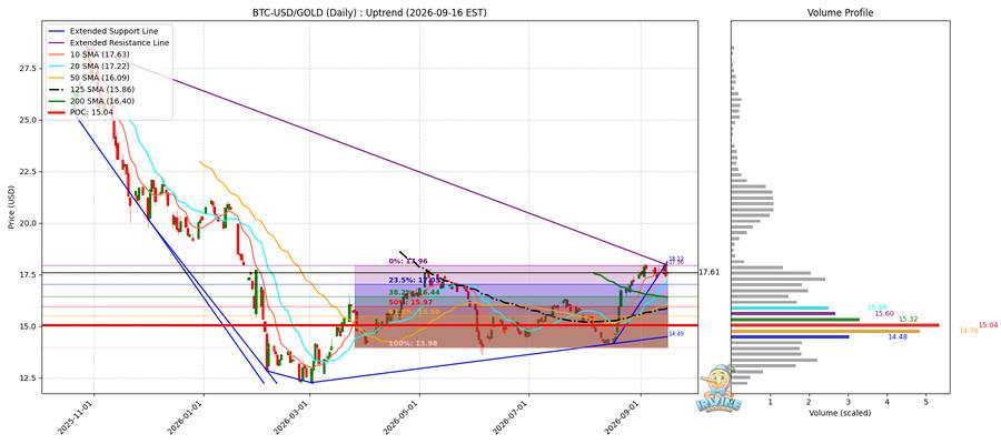 BTC vs Gold 비교