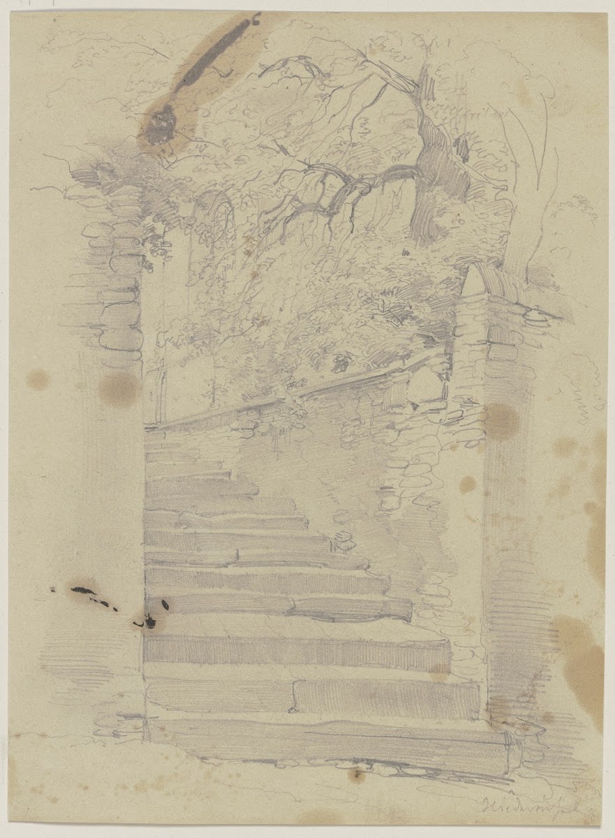 Alte Treppe umgeben von Bäumen