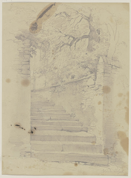 Alte Treppe umgeben von Bäumen