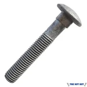 Cup Square Bolt M8x30 Din Spec MS HDG