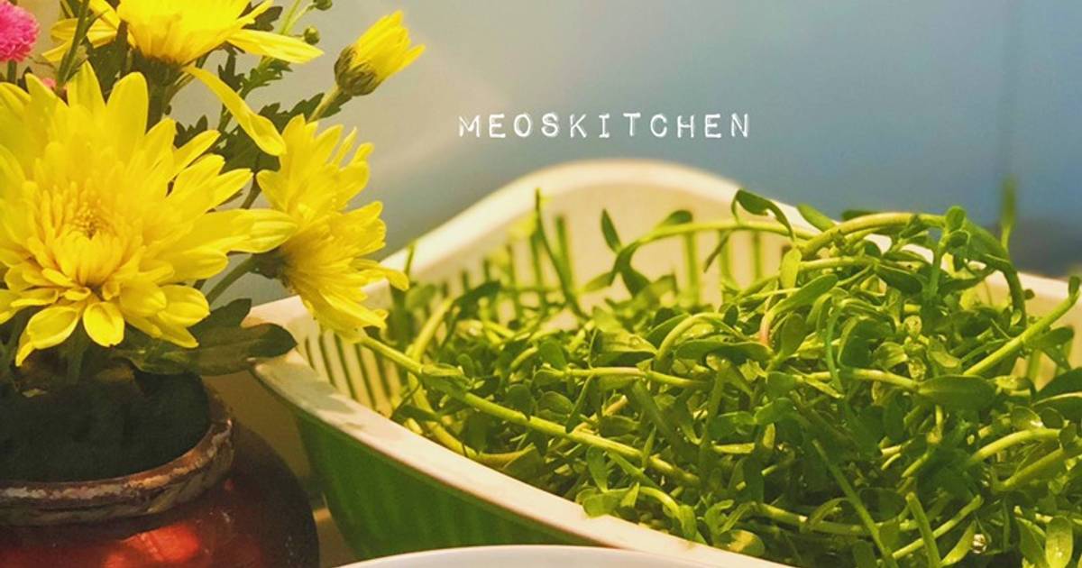 Bánh canh cá nục chả cá miền Trung