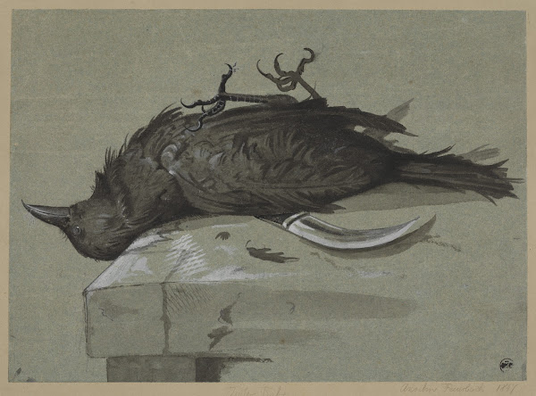 Toter Rabe über einem Messer auf einem Steintisch liegend 1847