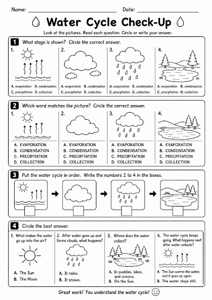Water Cycle Check-Up