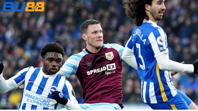 Phong độ gần đây của Brighton-  Burnley