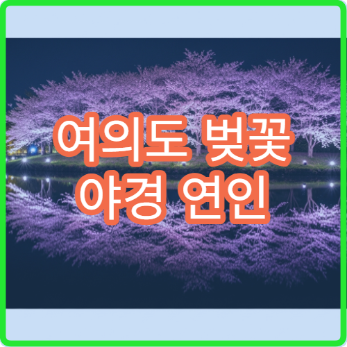 여의도 벚꽃 야경 연인 손잡고 걷기 좋은 평지 구간 완벽 정리