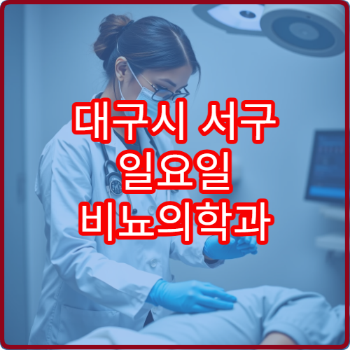 대구시 서구 일요일 비뇨의학과 진료 가능한 병원 확인하는 최신 자료