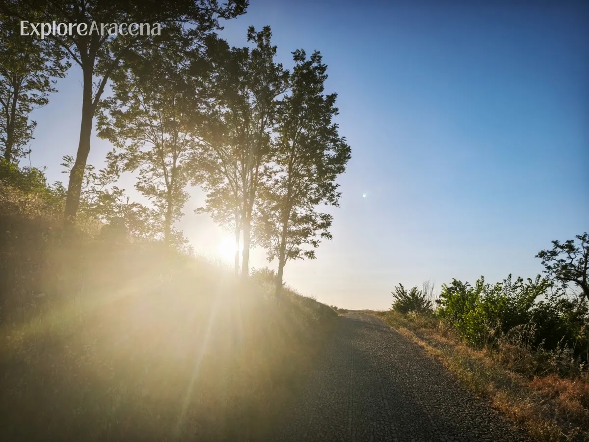 Visiting Aracena in July: Weather, Festivals & Cool Escapes