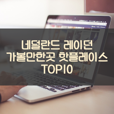 네덜란드 레이던 가볼만한곳 핫플레이스 TOP10 썸네일