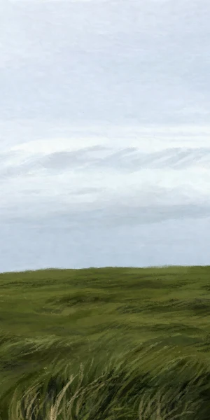 Landscape, Meadow, Sky, Horizon 2K Wallpaper Background