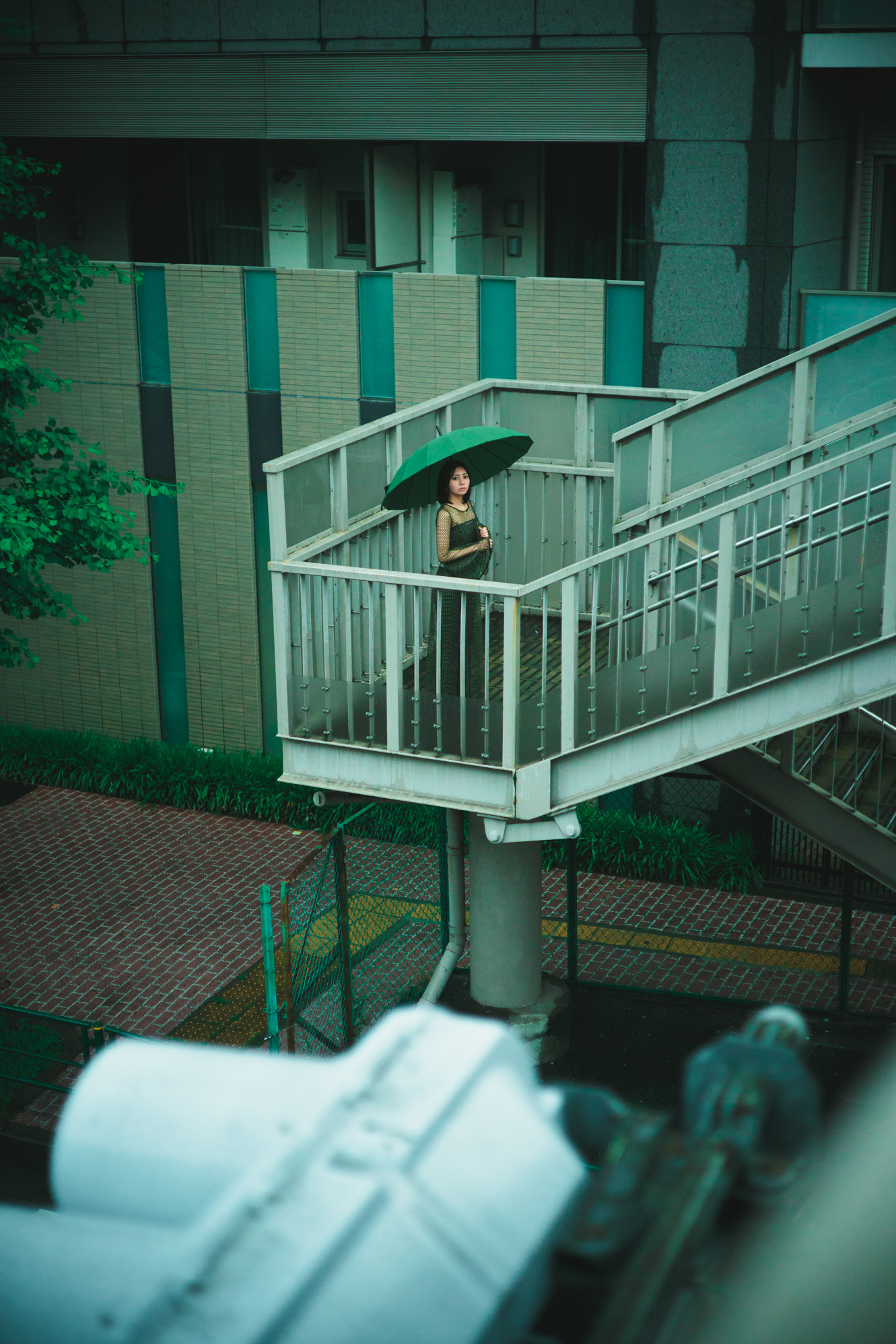 Portrait — Makino Shota