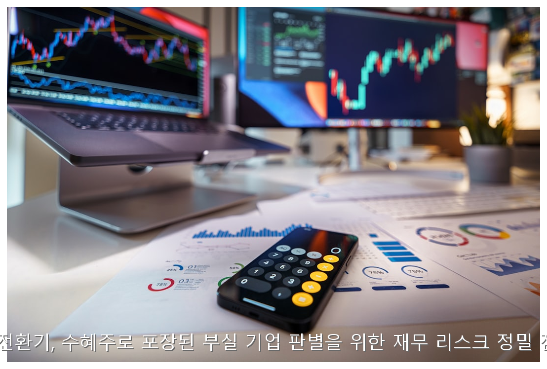 원화 강세 전환기, 수혜주로 포장된 부실 기업 판별을 위한 재무 리스크 정밀 점검 가이드 핵심 안내 및 분석 인포그래픽 (4)