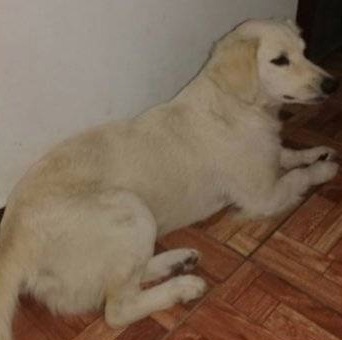 BLANCA