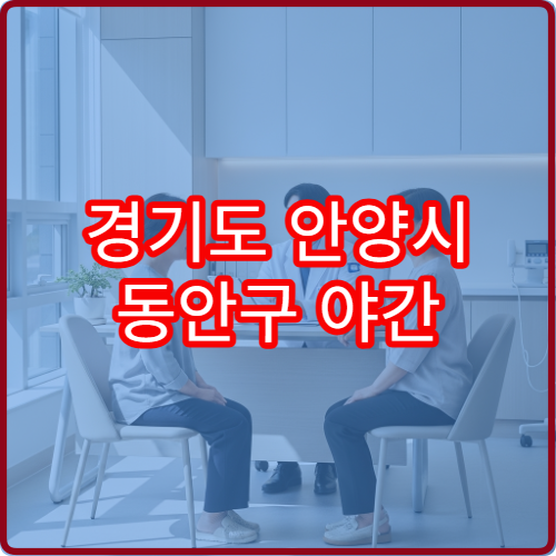 경기도 안양시 동안구 야간 응급의학과 진료 병원 응급환자 처치 가능