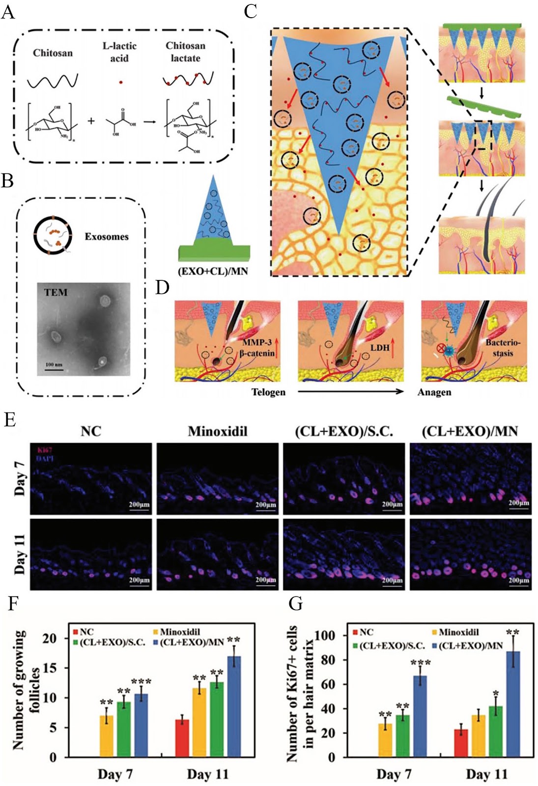Microneedle-Based Approaches for Skin Disease Treatment