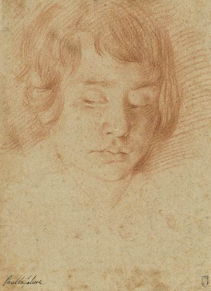 Head of a Boy Gennaro Falcone 1635 1640