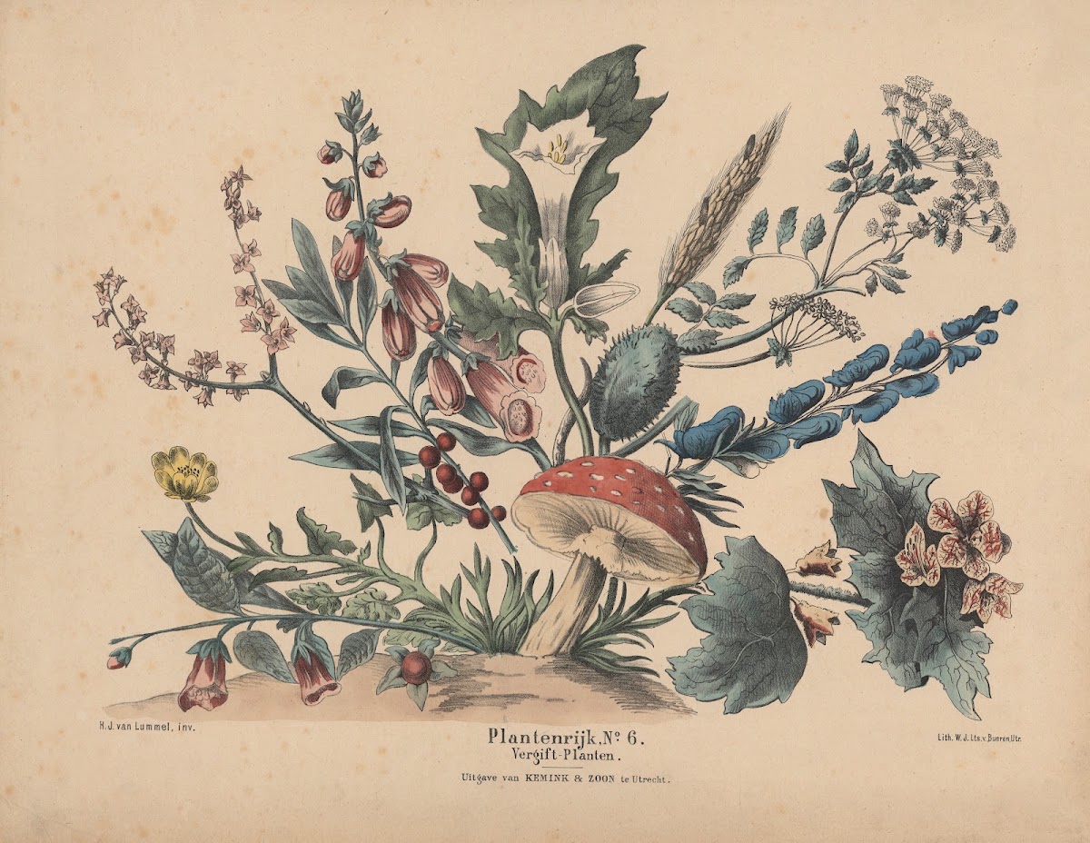 Vergift Planten 1841