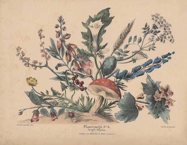 Vergift Planten 1841