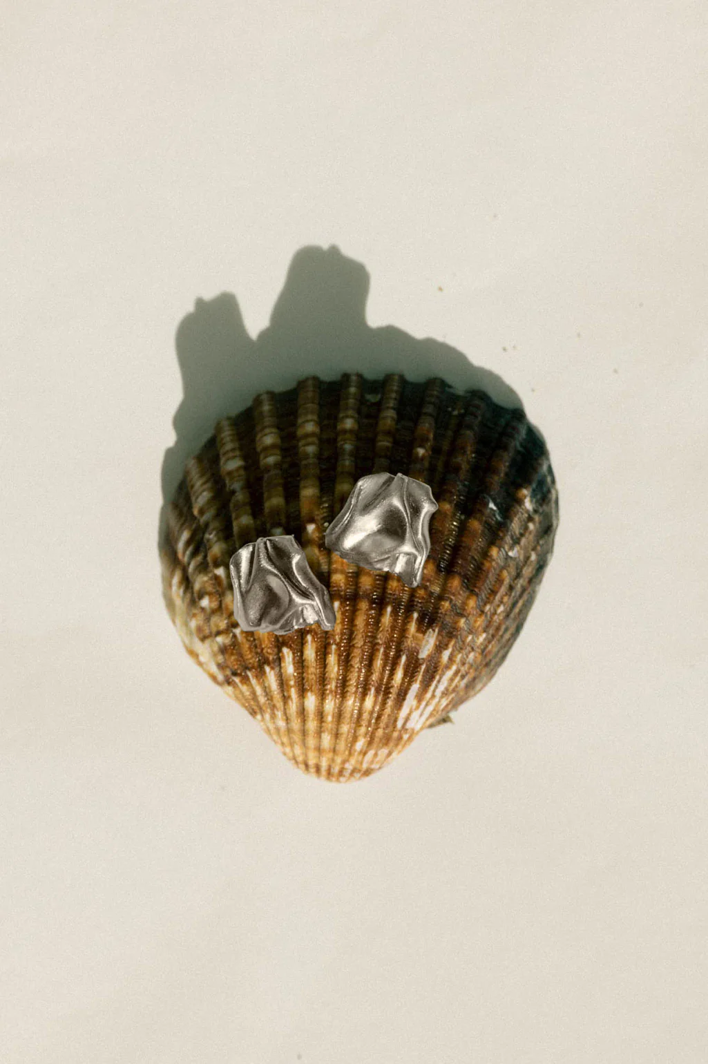 Серьги "Notsobig" Groundswell