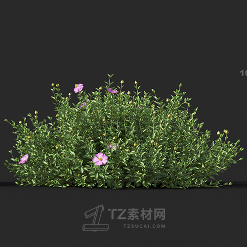 Maxtree - Plant Models Vol.60
