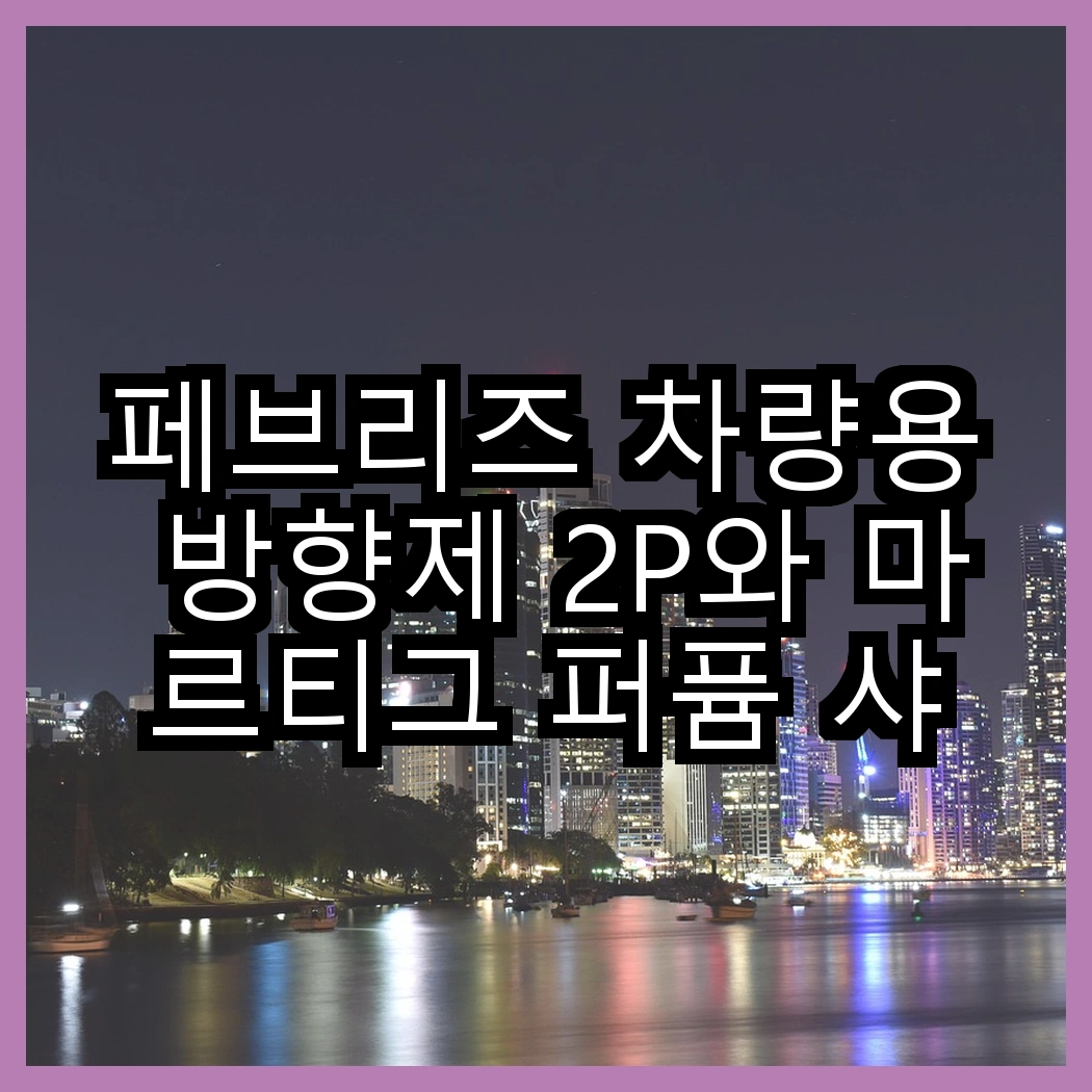 페브리즈 차량용 방향제 2P와 마르티그 퍼퓸 샤쉐 차량용 방향제, 어떤 향이 더 매력적일까? 썸네일