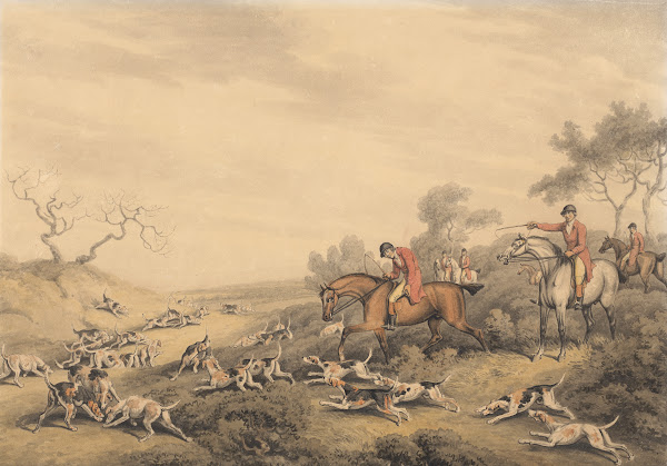 Foxhunting At Fault