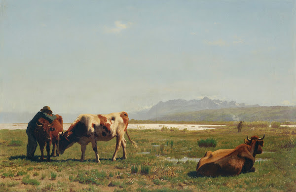 Cattle In A Lakeside Pasture
