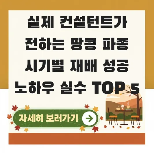 땅콩 파종 시기별 재배 성공 노하우