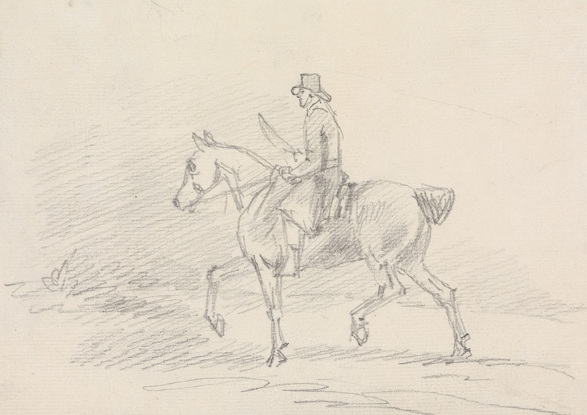Horse Rider in Walking Gait