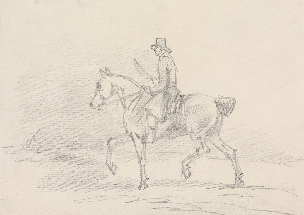 Horse Rider in Walking Gait