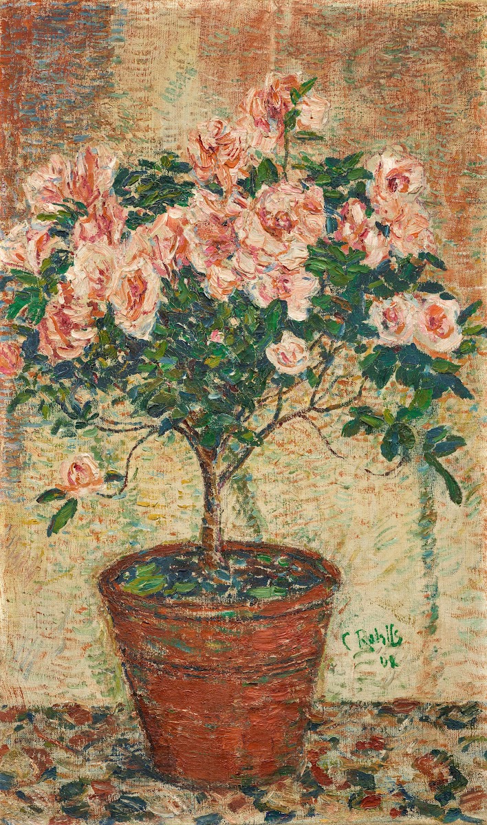 Azaleen Stämmchen 1902