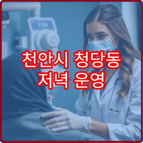 천안시 청당동 저녁 운영 치과 야간진료 병원 정리