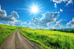 Nature Road Wallpaper