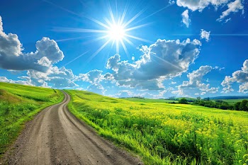 Nature Road Wallpaper