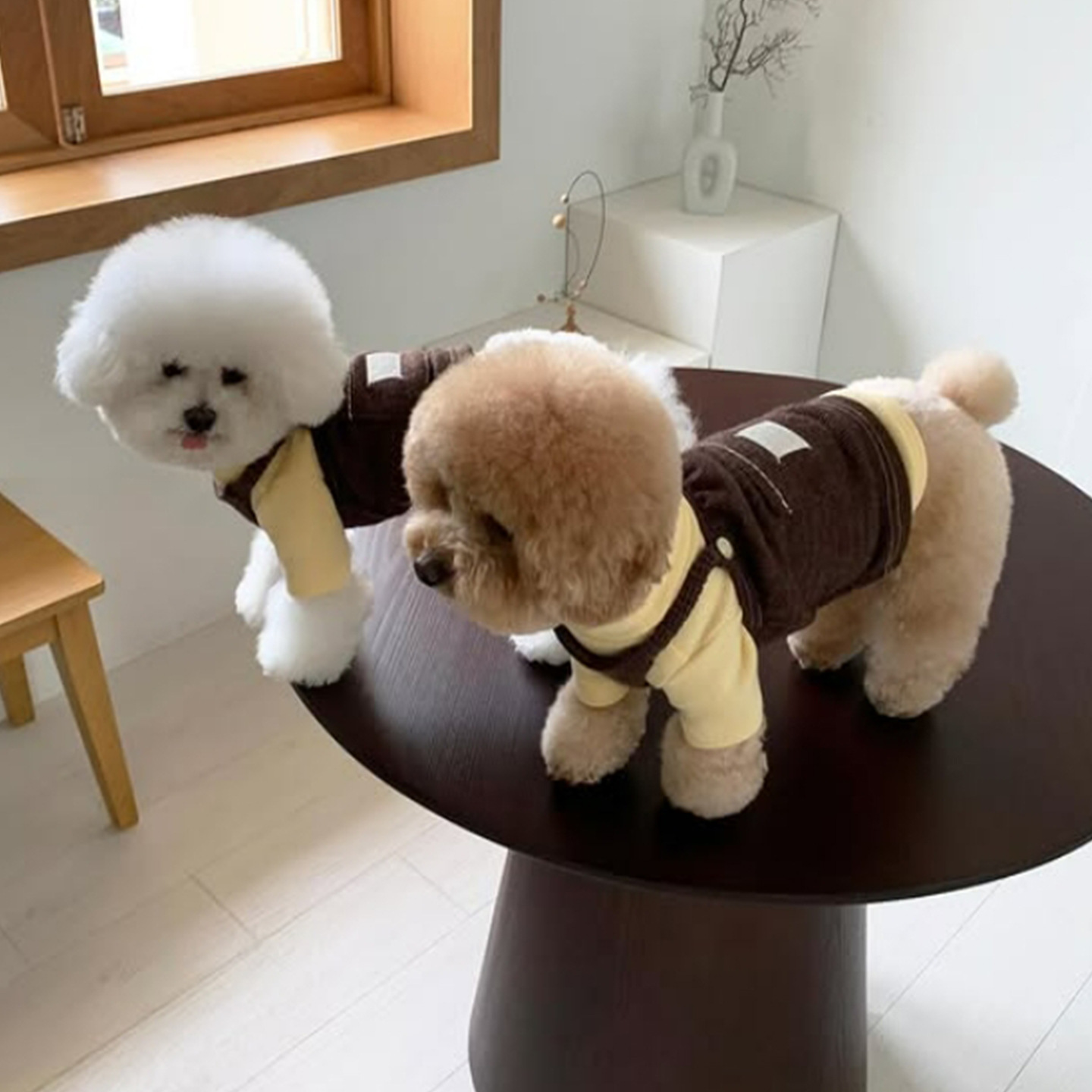 Dog strap dress made of corduroy, with pocket