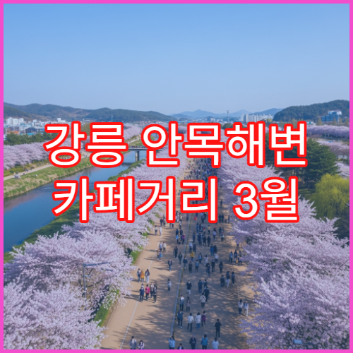 강릉 안목해변 카페거리 3월 벚꽃 뷰 숨은 맛집 3곳