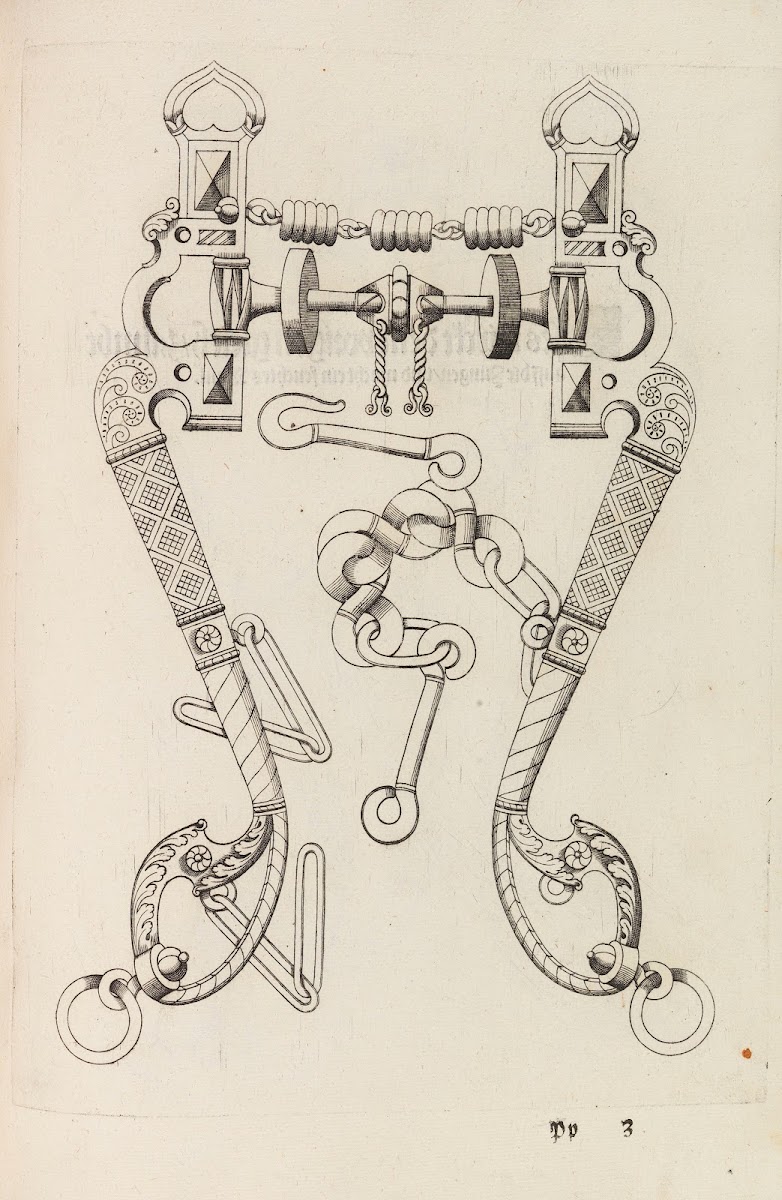 Ein schönes und nützliches Bißbuech 1584