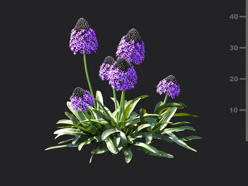 Maxtree - Plant Models Vol.115