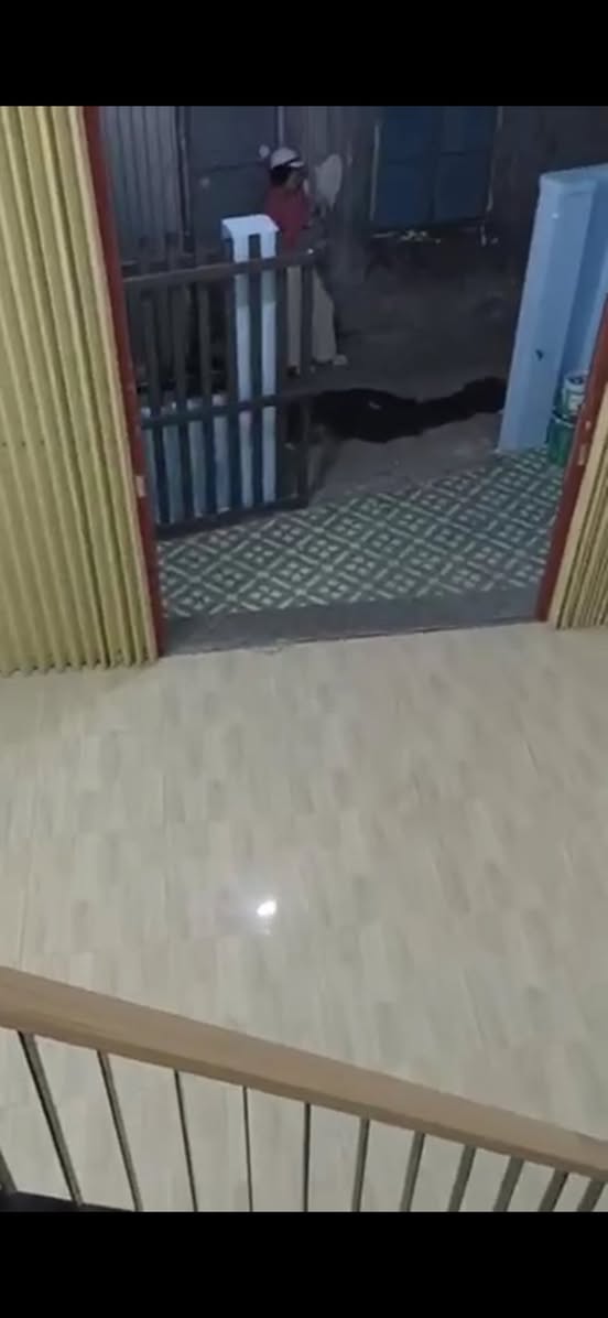 ☘️Cho thuê nhà kiệt 2m5 Bầu Trảng , gần đường chính - NGÃ BA HUẾ 4