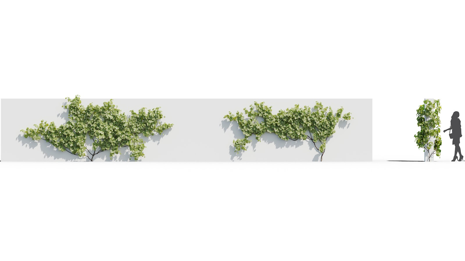Maxtree - Plant Models Vol.37