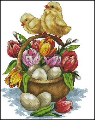 CMP 310201 Pattern