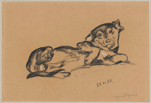 Lying dachshund 1885