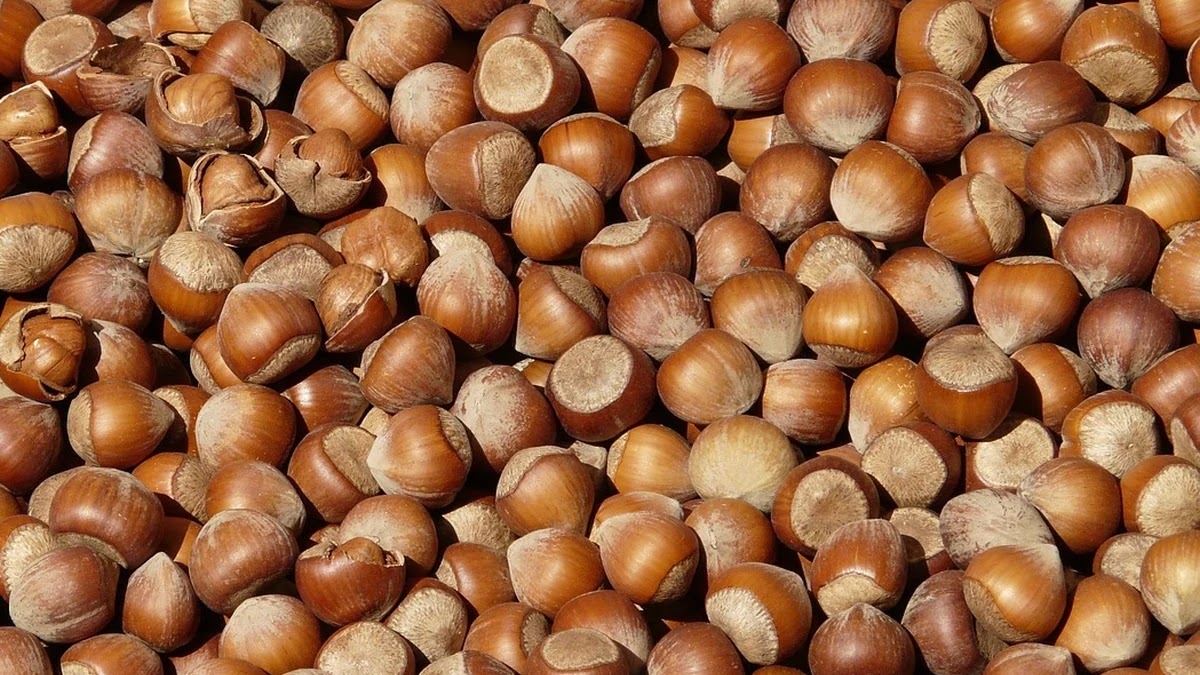 운동 전후 먹으면 좋은 건강식과 영양 섭취 방법