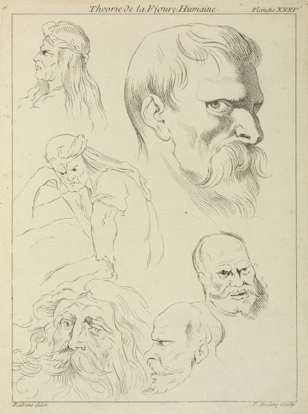 Five studies of mens heads displaying various hair styles beards and mustaches o