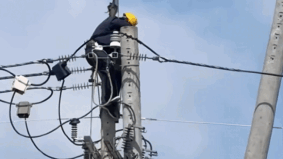 Thấy người thợ gục đầu trên cây cột điện, dân tình 'nín thở' theo dõi diễn biến và cái kết - Tạp chí SaoStar