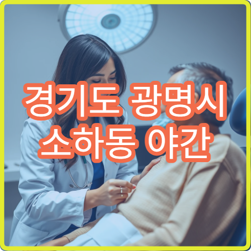 경기도 광명시 소하동 야간 안과 진료 병원 응급 대응