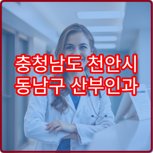 충청남도 천안시 동남구 산부인과 설날 연휴 응급진료 병원 정보