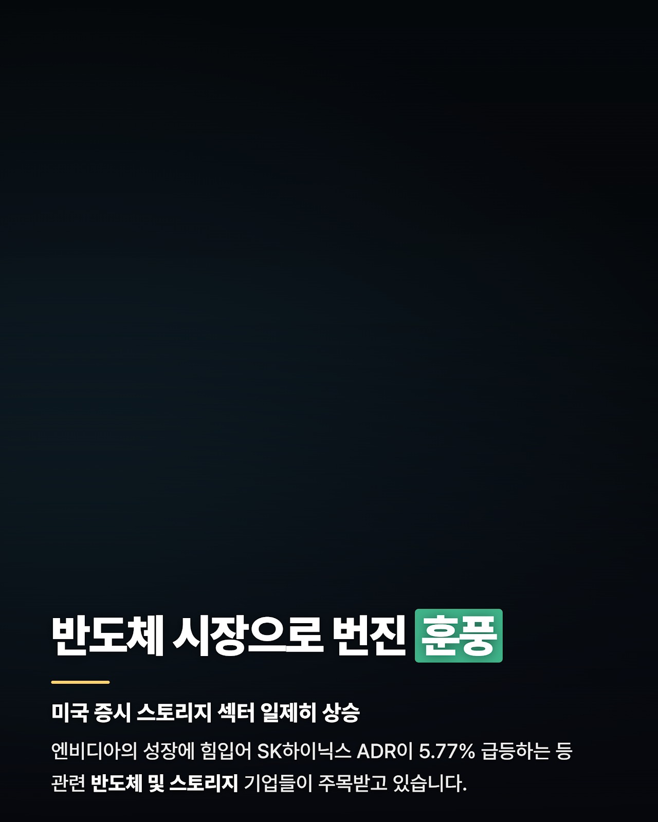 카드뉴스